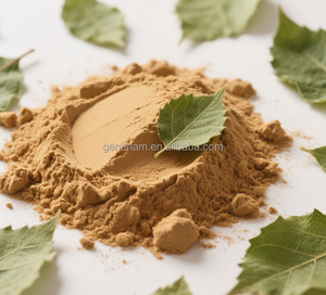 食品グレード1% DNJ白桑の葉エキス粉末バルク注文割引迅速配送ドラムまたはボトル入り - Product Image 1