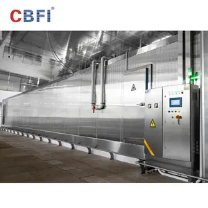 Congelador de túnel IQF de brócoli congelado rápido de alta calidad a precio preferencial de 20000 kg/h