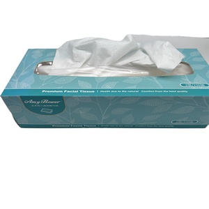 Factory wholesale Custom Box 2ply White paper facial tissue