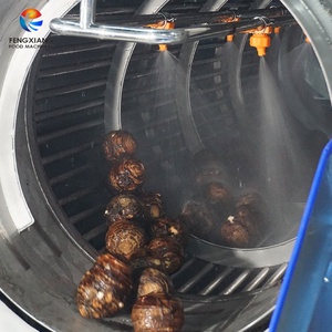 เครื่องล้างผักหัวกลมแบบโรตารี่สำหรับขิง จิคามา เผือก มันฝรั่ง เพื่อขจัดดินและโคลน - Product Image 6