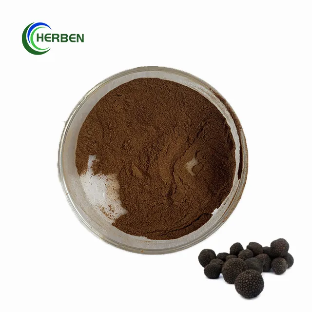 100% Pure Natural Wild Dried Black Truffle Powder Black Truffle Powder