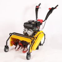 Offre Spéciale Tracteur Manuel Autoporté Multifonctionnel de Jardin 170F/177F à Essence, Tondeuse, Désherbeuse et Motoculteur