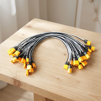 Câble adaptateur XT60 mâle-femelle, connecteur XT60H, 2 broches, câble d'extension, application alimentation 30A 12V IP40, plaqué or, nylon