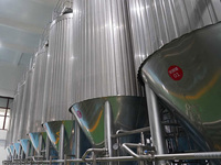 Équipement de production de bière annuelle de 30 000 KL, fournisseur unique en Chine