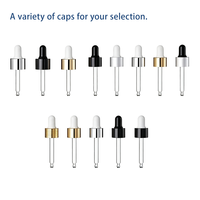 Pipettes compte-gouttes en verre cosmétique noir, or et argent avec tête en caoutchouc pour sérum et huile essentielle – Vente en gros