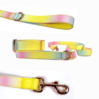 Correa para Perro Lunong Fashion con Degradado de Color Personalizado, Logotipo en Cinta, Clip de Liberación Rápida, Lavable a Máquina, Poliéster Duradero