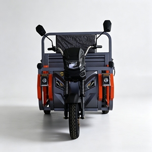 Tricycles à prix d'usine, capacité de charge de 700 kg, peinture 3C3B pour revendeurs - Product Image 2