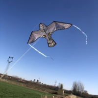 Cerf-volant Aigle en Tissu Personnalisé de Haute Qualité pour Enfants, Nouveau Modèle avec Cadre en Fibre de Verre, Motif Oiseau Effrayant