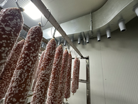 Salle de fermentation automatique à commande PC intelligente avec température et humidité précises pour la transformation de la viande, des saucisses et des jambons