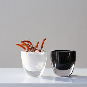 Jarrón de Cristal Nórdico Moderno, Soplado, de Fondo Grueso, con Boca Ancha, Colorido, Mini Adornos, para Superficie de Mesa, Hidropónico, Blanco y Negro - Product Image 6