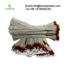 2*16mm <span class=keywords><strong>3</strong></span>*25mm pt100 pt1000 elemen luka kawat keramik - Product Image 5