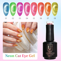 Vernis Gel Magnétique Effet Œil de Chat Néon 8 Couleurs Printemps-Été Marque Privée Sans TPO Sans HEMA Personnalisé 15ml