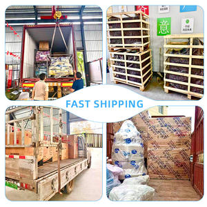 لعبة طائرة كهربائية صغيرة دوارة محمولة بسعر منخفض، 6/8 مقاعد، جذب ترفيهي للأطفال في مدن الملاهي والمراكز التجارية - Product Image 6