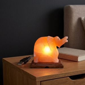 Lampe de sel rose de l'Himalaya personnalisée 2025, mini USB, forme naturelle, décoration d'intérieur, technique de sculpture polie, OEM, Feng Shui - Product Image 1
