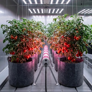 Lámpara LED de Cultivo LUXINT IP65 para Debajo del Techo, 120W, con Soporte, para Invernaderos con Alta Humedad, Tubo de Iluminación Intermedia para Plantas - Product Image 1