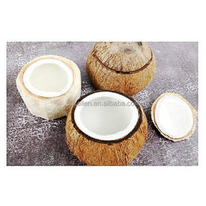 Machine commerciale de coupeur de noix de coco de machine de flocons de noix de coco de rendement élevé - Product Image 5