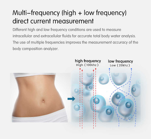 Dispositivo Profesional de Análisis de Salud con Electrodo Táctil de 8 Puntos, Analizador de Composición Corporal, Monitor de Masa Magra y Grasa Segmentaria - Product Image 3