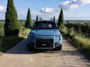 2025 Jishi 01 Sang Trọng SUV Độc Quyền Điện 1.5T Lai 235Km Phạm Vi Trung Quốc Cơ Bản Động Cơ Năng Lượng Mới Xe Lớn 7 Chỗ Rox - Product Image 3