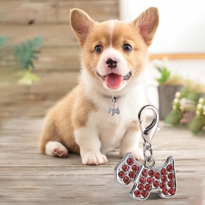 Venta caliente llavero mascota perro gato Id Etiqueta de Metal lindo Collar antipérdida forma redonda forma de corazón garra diseño de hueso etiquetas de identificación para Collar de Mascota - Product Image 5