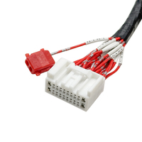 Adaptateur de câblage pour haut-parleur automobile, connecteur 20 voies, prise radio stéréo vers adaptateurs d'antenne, faisceau de câbles