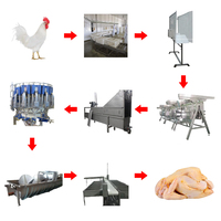 Ligne d'abattage automatique pour volailles, machine d'abattage, échaudoir, éplucheur, système d'abattage de poulets et de canards
