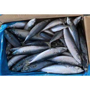 Caballa de pescado congelada Precio al por mayor 10kg Ctn Caballa congelada 300/500P Caballa del Pacífico - Product Image 3