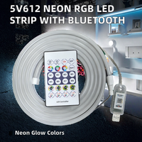 Bande LED flexible néon colorée 5V612 de 8 mm en cuivre avec IC RGB et lumières dynamiques, télécommande, kit LED IP66