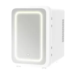 Produits tendance 2022 réfrigérateur électrique de soins de la peau 4L à usage domestique pour cosmétiques Mini réfrigérateur cosmétique avec lumière LED miroir