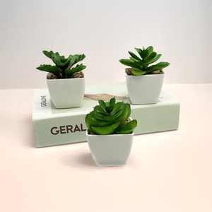 <span class=keywords><strong>Mini</strong></span> <span class=keywords><strong>Palmier</strong></span> Artificiel Réaliste Succulent Design De Luxe Mariage Étagère De Noël Décor De Bureau dans Un <span class=keywords><strong>Pot</strong></span> <span class=keywords><strong>En</strong></span> Plastique Blanc - Product Image 3