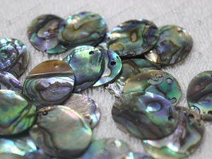 Natural <strong>Abalone</strong> Shell Discs Wholesale - Product Image 6