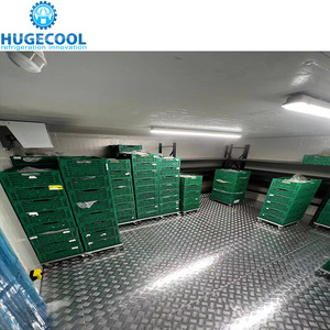 Hugecool OEM lạnh cơ sở lạnh lưu trữ phòng đi bộ trong tủ đông cho cá trái cây và rau - Product Image 6