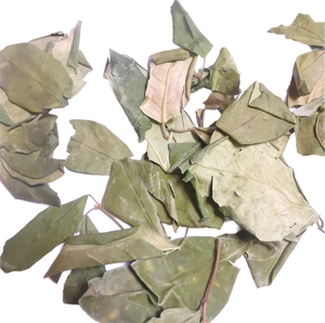 ใบยิมเนมา ซิลเวสเตอร์ แห้ง ขายส่งจำนวนมาก คุณภาพดี 99 โกลด์ ดาต้า ชาสมุนไพรเพื่อสุขภาพ ชาสมุนไพรแบบซอง ตัดจากใบฝรั่งและใบฝรั่งเทศ - Product Image 1