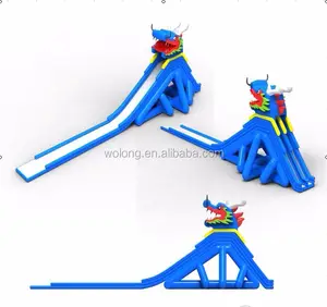 hot sale Children Most Popular Inflatable Water Slide for Entertainment for kids enjoying fun with high quality for sale