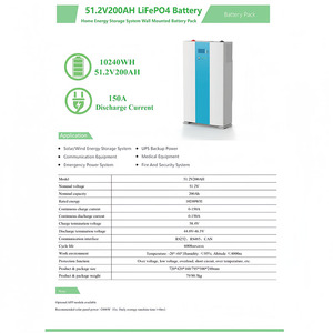 Batería de Litio-Ferrofosfato (LiFePO4) de 51.2V 200AH 10240WH con Carcasa Impermeable para Almacenamiento de Energía Doméstica - Product Image 2
