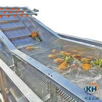 Aangepaste 2025 Nieuwe Ontwerp Automatische Dragon Fruit Wasmachine Luchtbel Reiniging Groente Wasmachine 304 Roestvrij Staal