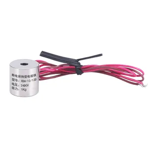 Small Electro Magnet Lifter 24v Dc Round Electromagnet 1kg