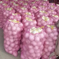 Sacs de légumes en maille personnalisés Sacs en maille d'oignon rouge réutilisables et respirants pour l'emballage de légumes Fruits Maïs Poivre Carotte Orange
