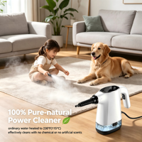Vaporizador Limpiador Ligero de 1200W con Calentamiento Rápido, Tanque de Agua de 550ml, Multiusos para Hogar y Comercio