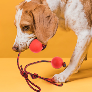Jouet interactif pour chien, balle pour l'entraînement, jouet à mâcher pour nettoyer les dents, jouet en caoutchouc résistant aux morsures avec corde en nylon - Product Image 3