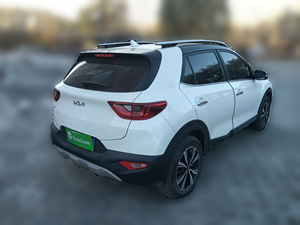   Auto Usate Stonic Sotto i 3 Anni da Fornitori Verificati Stonic KX1 dalla Cina - Product Image 6