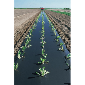 Film de paillage agricole en PE noir de 30 microns pour la protection des cultures et des légumes - Product Image 1