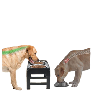 Bán Buôn Cao Con Chó Thực Phẩm Bát Có Thể Điều Chỉnh Chiều Cao Đứng Thép Không Gỉ Con Chó Và Chậm Cho Ăn Con Chó Bát - Product Image 3