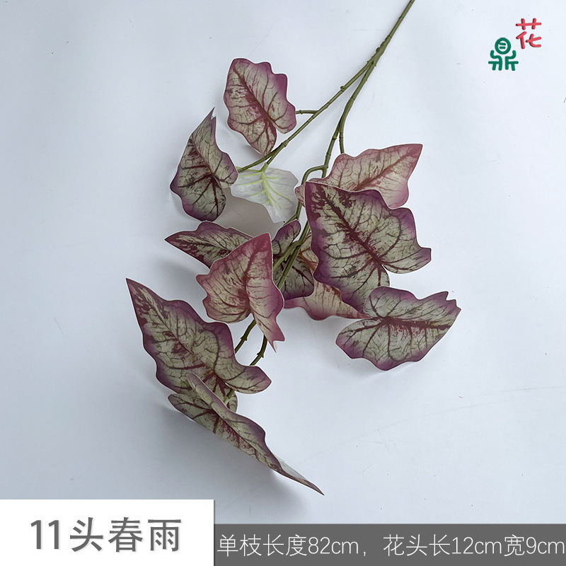 11 Spring Rain JH Vert Noyau Violet