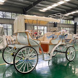Calèche de luxe Victoria pour visites touristiques, transport spécial, calèche de mariage, calèches à chevaux à vendre - Product Image 4
