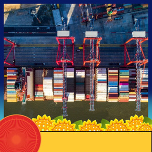 Servicio de Transporte Marítimo Ruixiang Línea África, Nigeria, Camerún, Costa de Marfil, Envío Marítimo y Aéreo, Impuestos Incluidos - Product Image 2