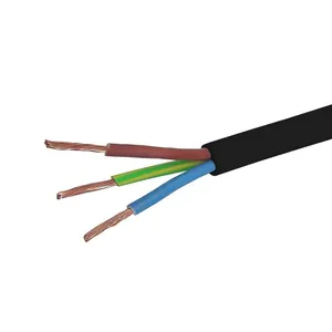 Shanghai Famous Manufacturer Pvc Insulation Twin Sheathed 5mm Auto Cable