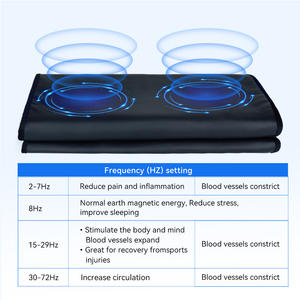 Suyzeko 0.5-72Hz ปรับได้ไฟฟ้า pemf บรรเทาอาการปวดกล้ามเนื้อรักษากระดูกซ่อมแซมที่นอนนุ่ม - Product Image 2