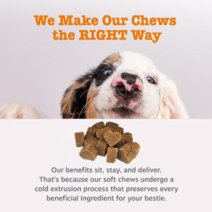 للبيع بالجملة من المصنع عينة مجانية مكمل طبيعي للحيوانات الأليفة لمضغ ناعم لحكة الجلد والحساسية الموسمية والدعم المناعي - Product Image 3