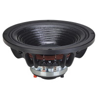 Haut-parleur coaxial néodyme 10 pouces 450W RMS 2 voies pleine gamme pour yacht, étanche, résistant à la saumure et à l'humidité Pro 1065-089N