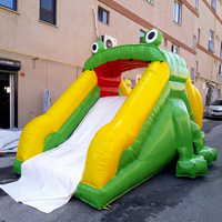 Toboggan gonflable grenouille multicolore personnalisé pour l'extérieur, château gonflable coloré certifié CE, garantie 2 ans avec souffleur